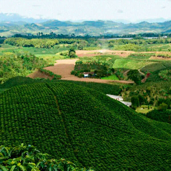 4 Days Andes Pueblo Explorer - Salamina - Támesis - Jericó - Santa Fe