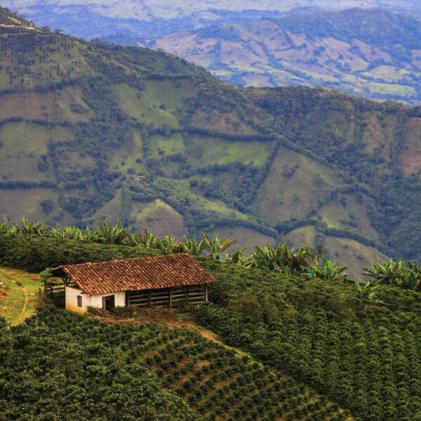 4 Days Andes Pueblo Explorer - Salamina - Támesis - Jericó - Santa Fe