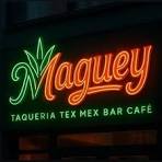 Maguey