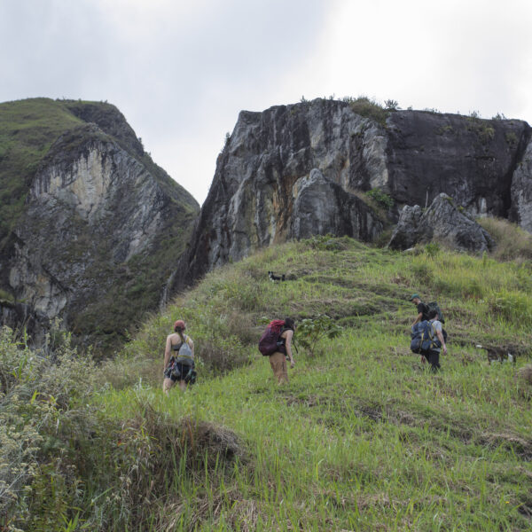 La Peña
