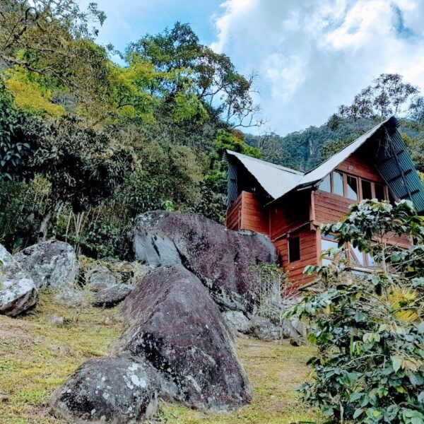 Monte Mágico