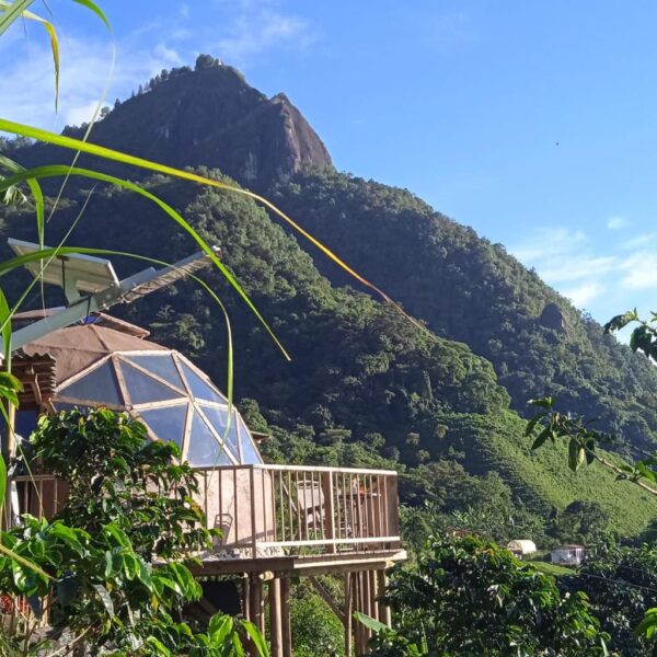 Monte Mágico